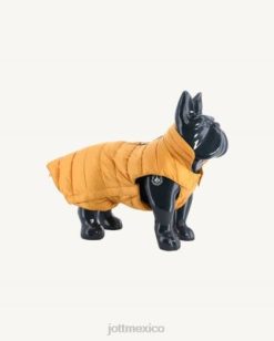 Jott Mujer | Jott chaqueta de plumón para perros moutarde woop accesorios 6L88785